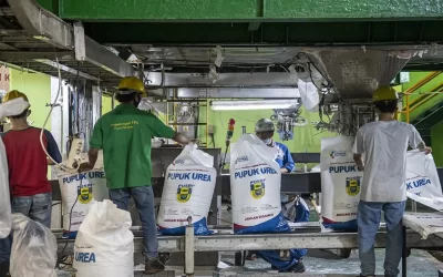 Hingga Akhir 2021, Ekspor Produk Kimia Indonesia Bakal Kinclong